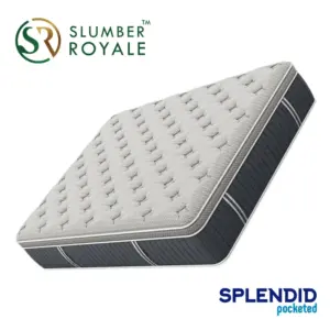 Splendid_pocketed-3.webp