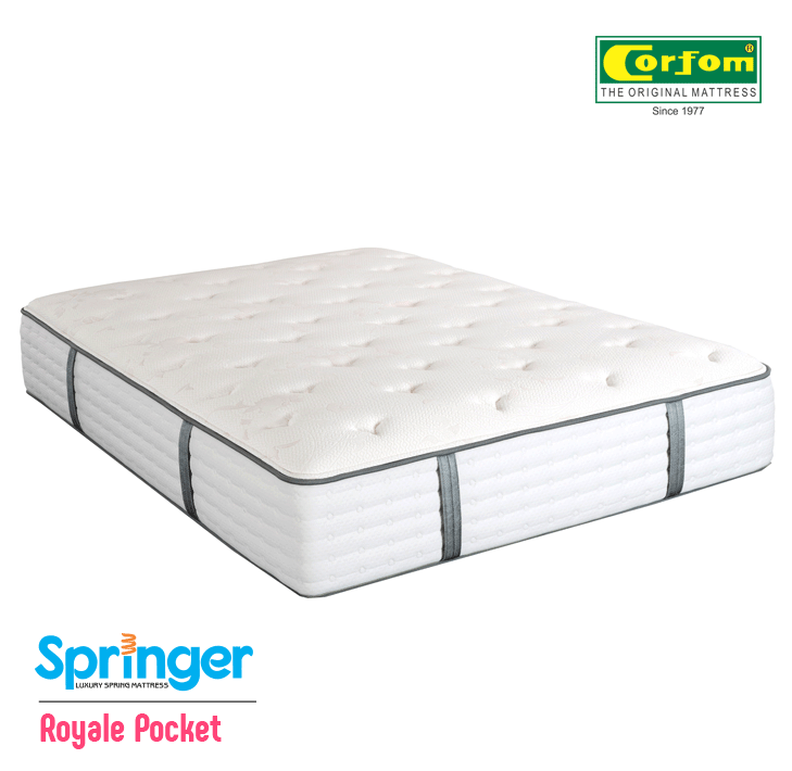 Springer Royale Pocket