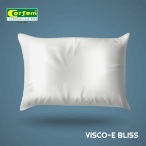 corform_VISCO-E-BLISS_cover-1.png