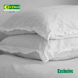 corform_exclusive_cover.png